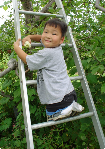 A picture of Isaac, an adoptee with a limb difference, climbing a ladder before he got his prosthetics.