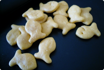 A photo of goldfish crackers that hold such significance to a child dealing with food insecurities and adoption.