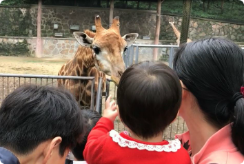 A giraffe leans in to say hello to volunteers and children who wait for adoption in China.