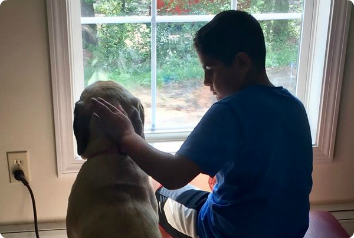 A middle-school aged boy is almost a shadow as he sits in front of a window while petting his dog.