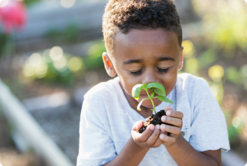 A boy calms down while smelling a basil plant.