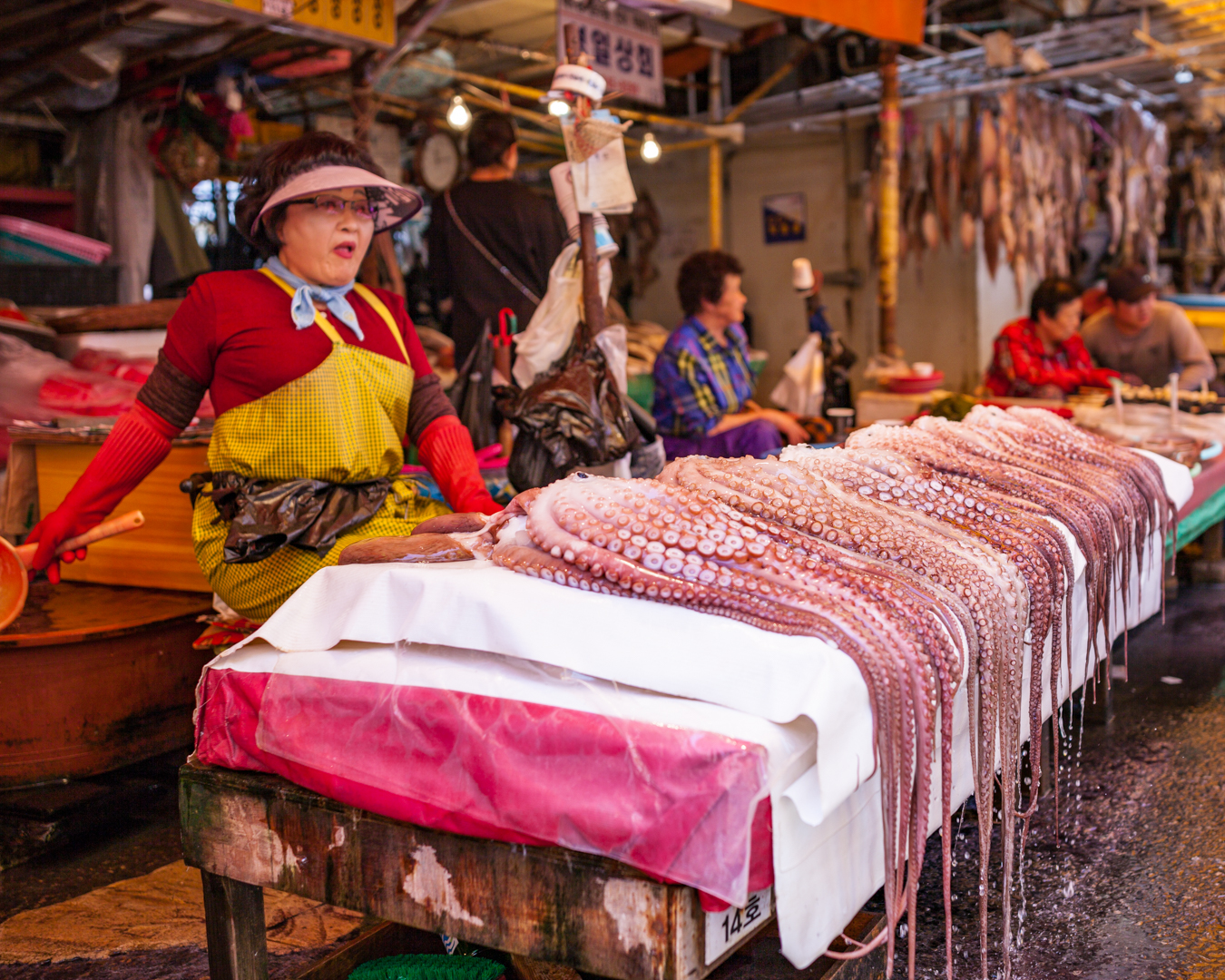 Making Memories to Last a Lifetime on Tour Korea CHLSS