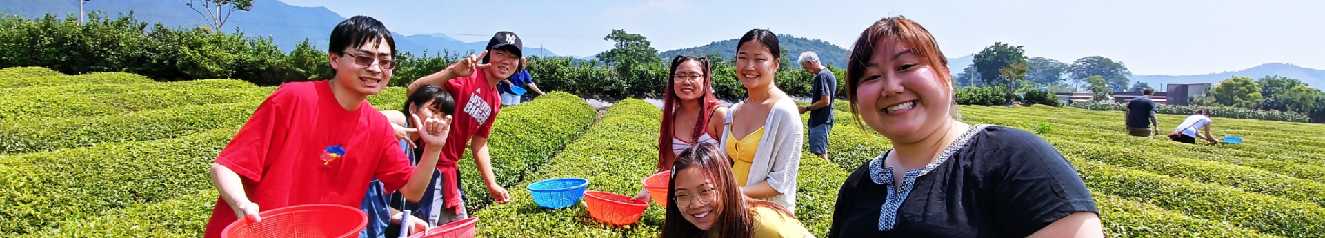 Korean adoptees smile in a field in South Korea